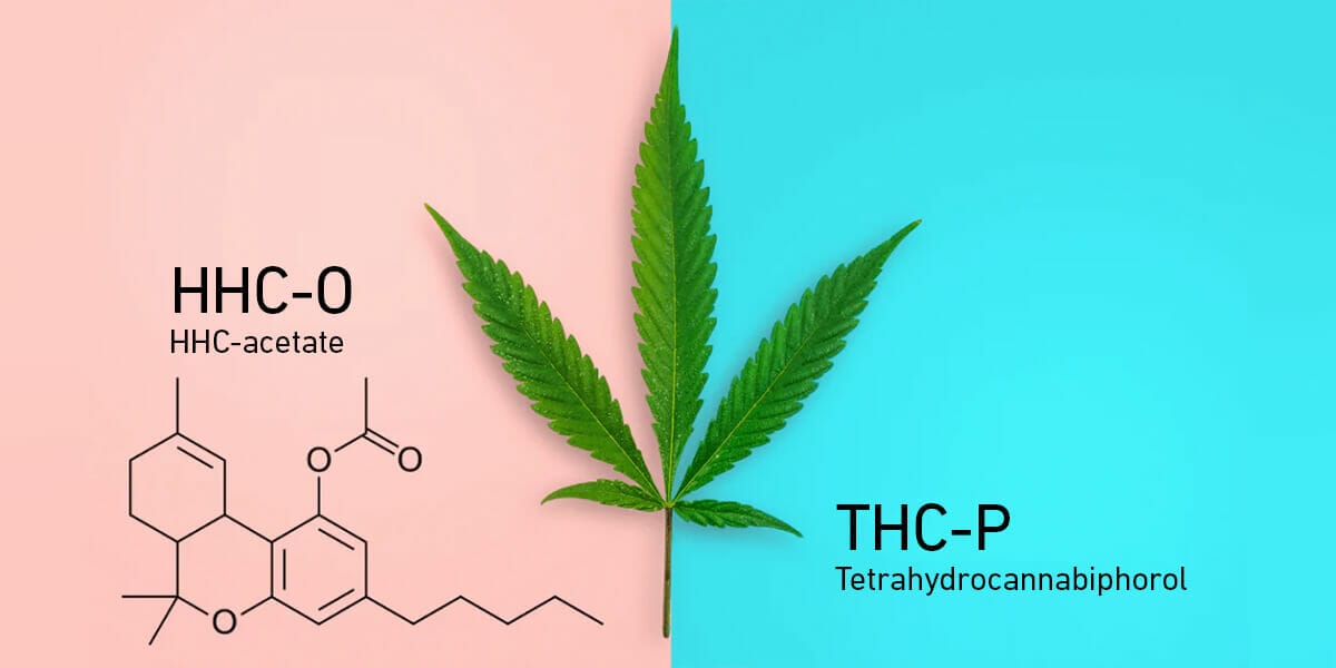 HHC-O Vs THC-P: Vad är Skillnaden? Effekter?- Sumpans Godis