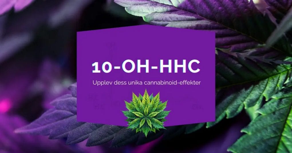 Vad är 10-OH-HHC?