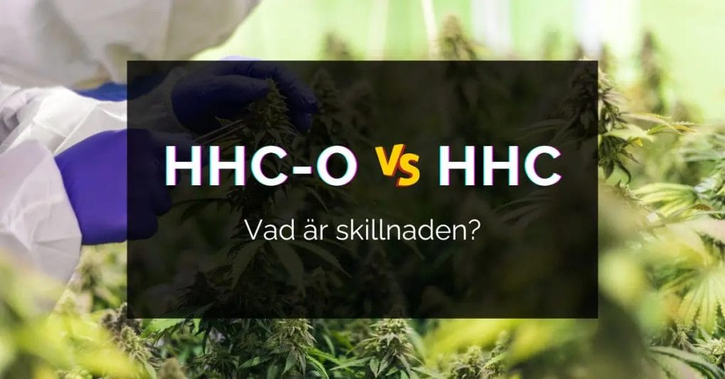 HHC-O vs HHC Sverige