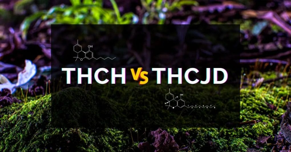 THCh vs THCjd-produkter