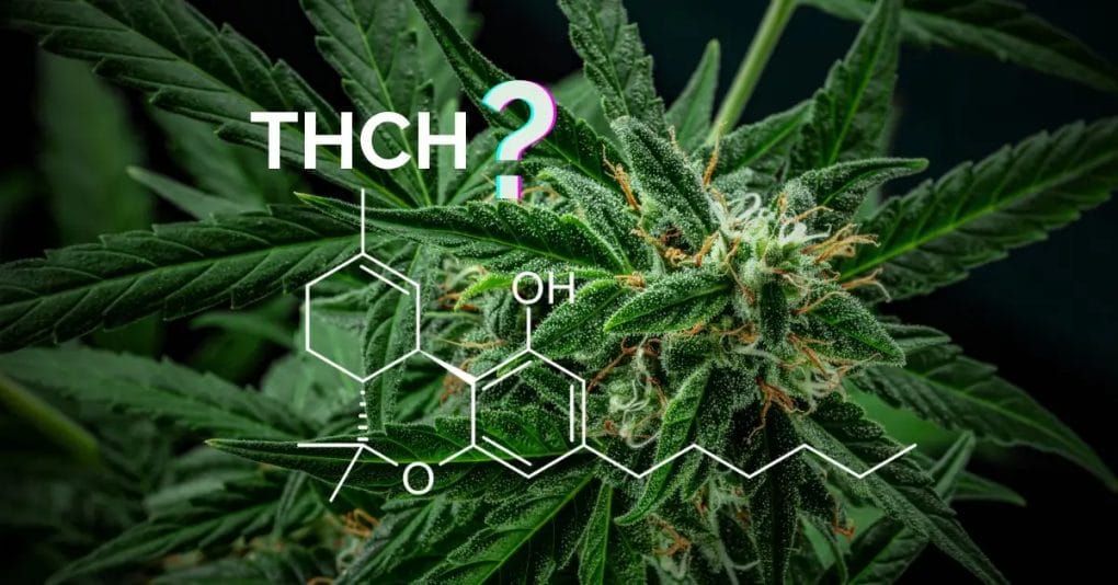 Vad är THCH och Vad är THC-H Effekter?
