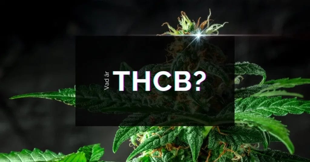 Vad är THCB?
