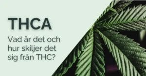 Vad är THCA?