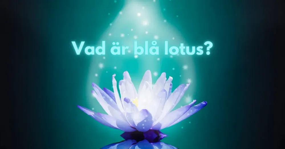 Vad är blå lotus?