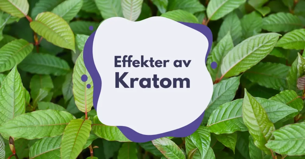 kratom effekt