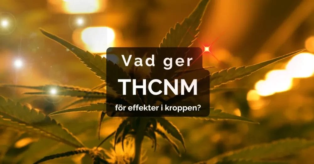 Effekter av THCNM