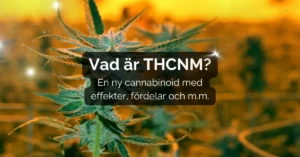 Vad är THCNM