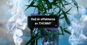 Effekter av THCNM