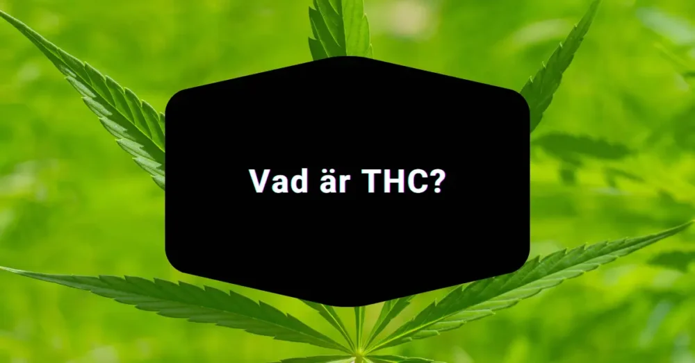 Vad är THC?